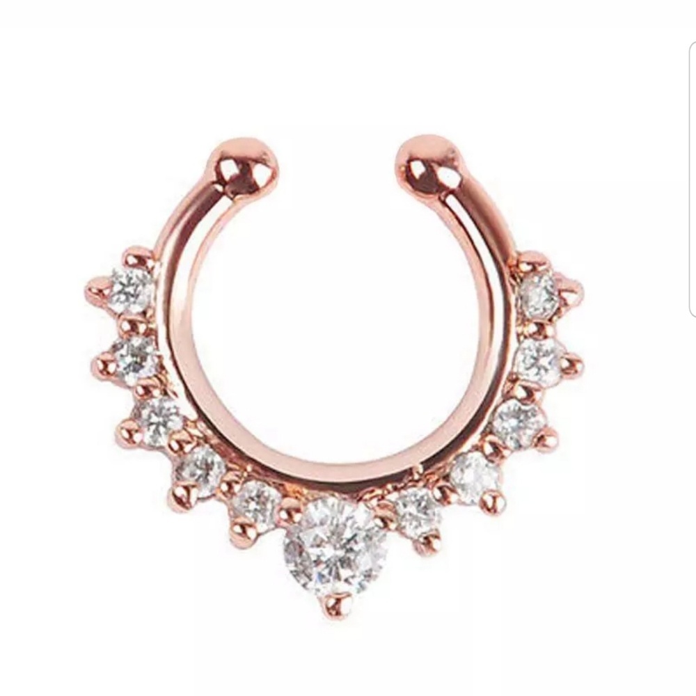 Nose septum faux rings one each only - Picture 5 of 6